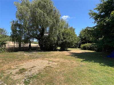 Picture 26